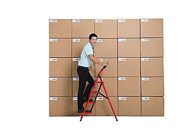 流浪猫模拟器《Copycat》发售日预告 9月20日发售